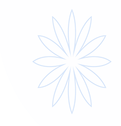 球王会·(体育)官方网站